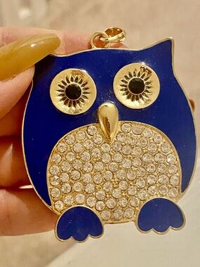 Amrita Singh owl pendant . No chain .